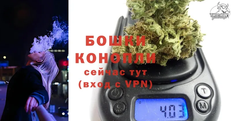 Бошки Шишки White Widow  гидра ТОР  Бобров 